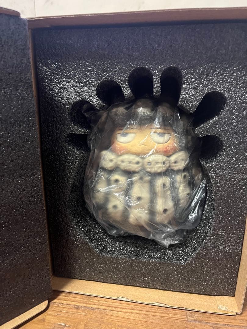 その他 Vin x Robin Huang POH Copiapoa