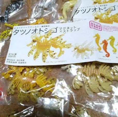 ネイチャーテクニカラー タツノオトシゴ 奇譚クラブ ガチャ