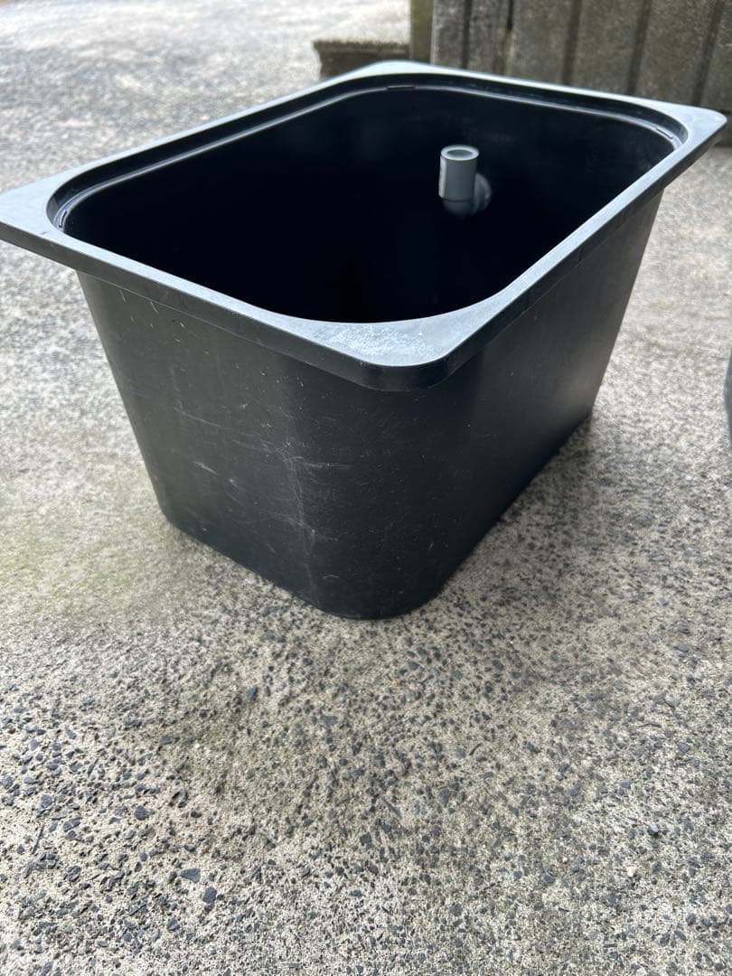 最終セール めだか飼育ケース20L IKEAトロファスト　黒色