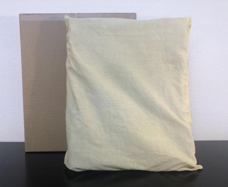 織田広喜(織田廣喜)「少女」油彩 共シール付 額装