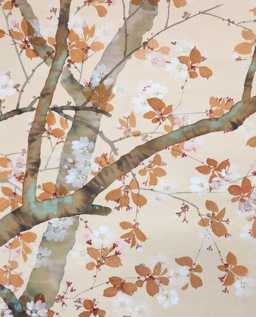 【桜花図】土居竹塘 2710 サクラ 春掛け 掛け軸 肉筆