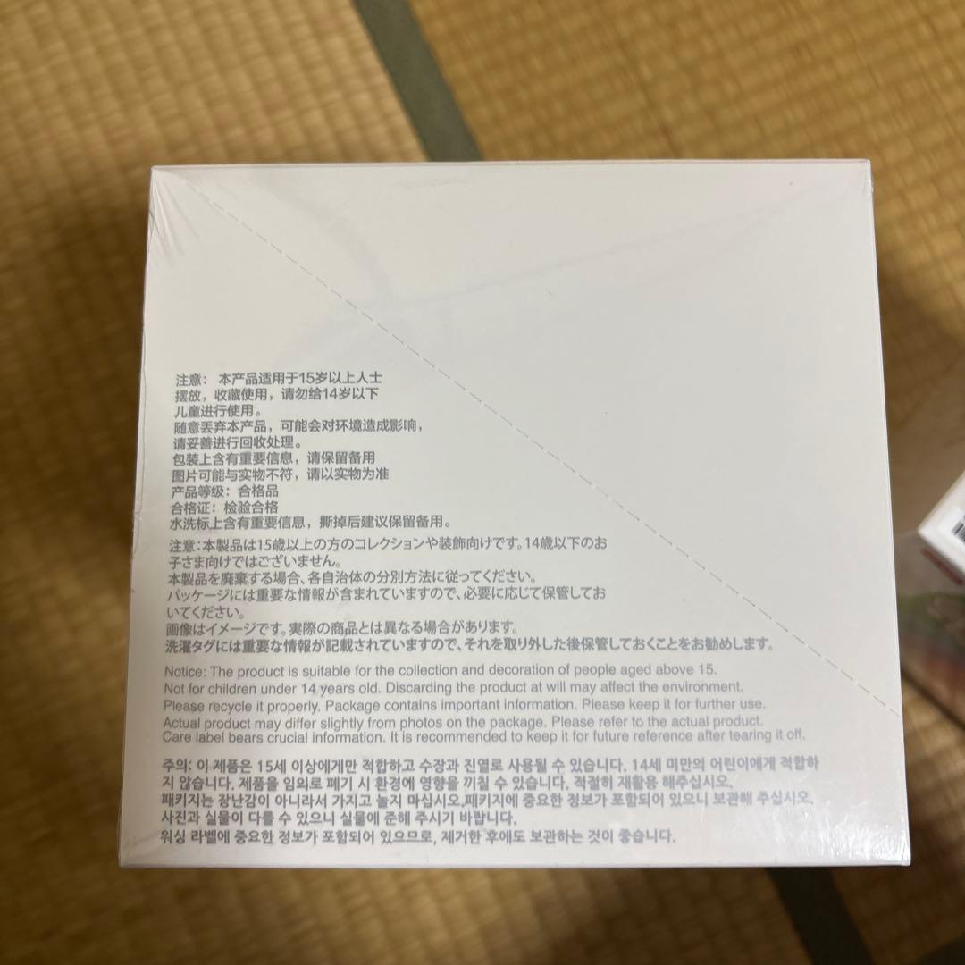 ぬいぐるみ Big into Energy Vinyl Figure Blind Box