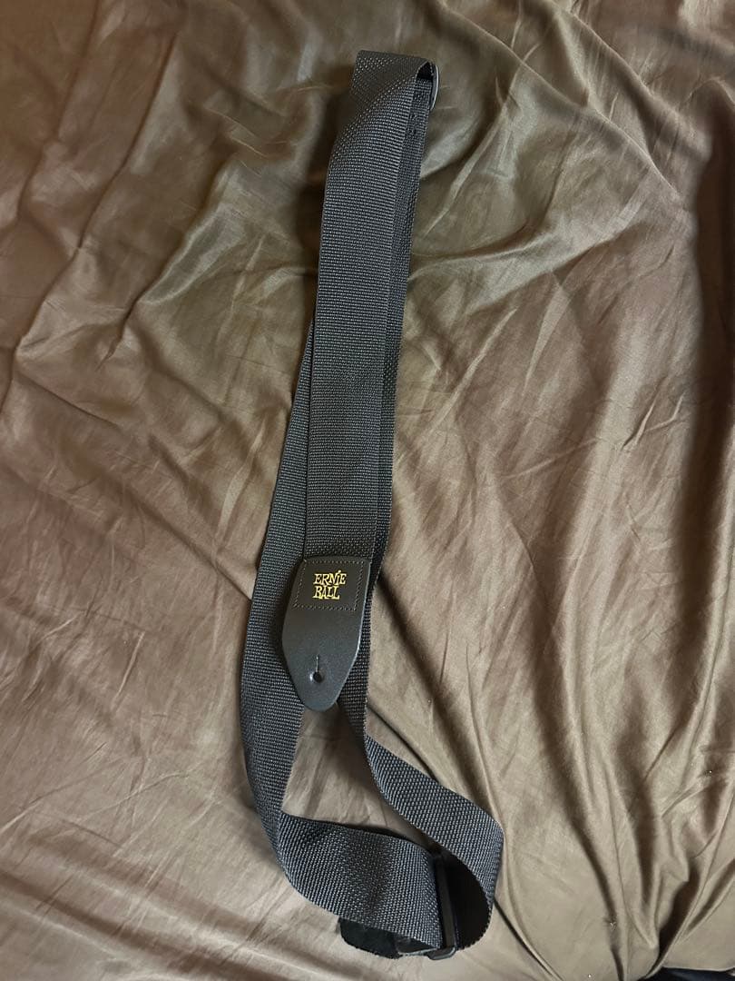 ギター PaulReedSmith