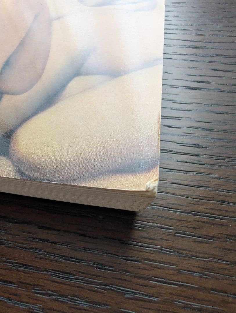 LOUVRE 美術作品集 2005年出版