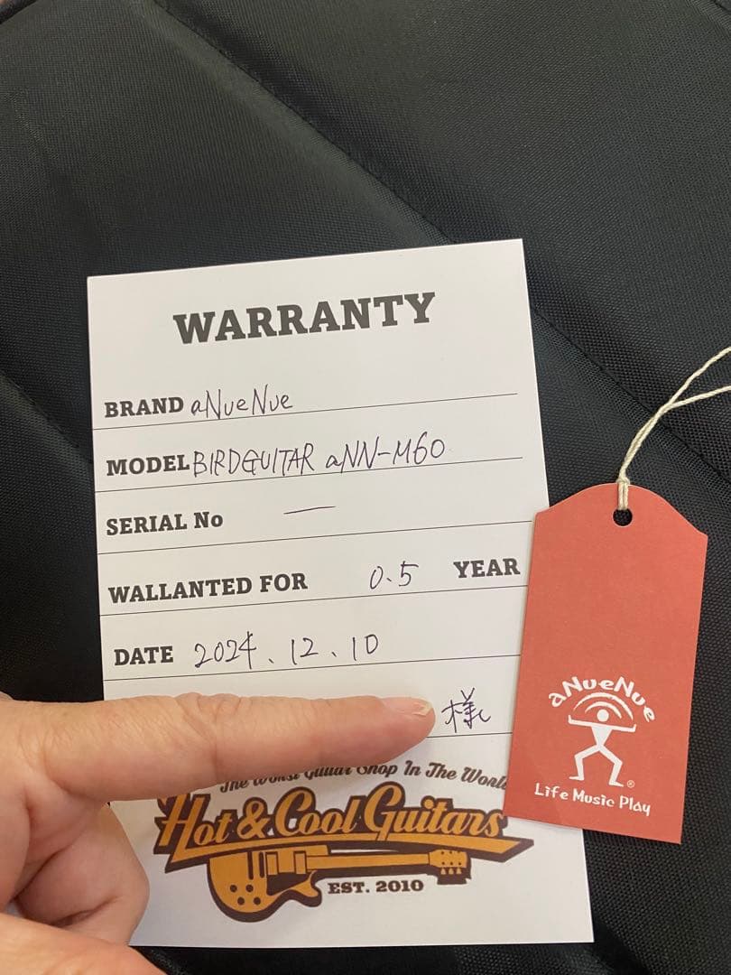 aNueNue （アヌエヌエ） M60 ギター杉田健二監修ミニギター