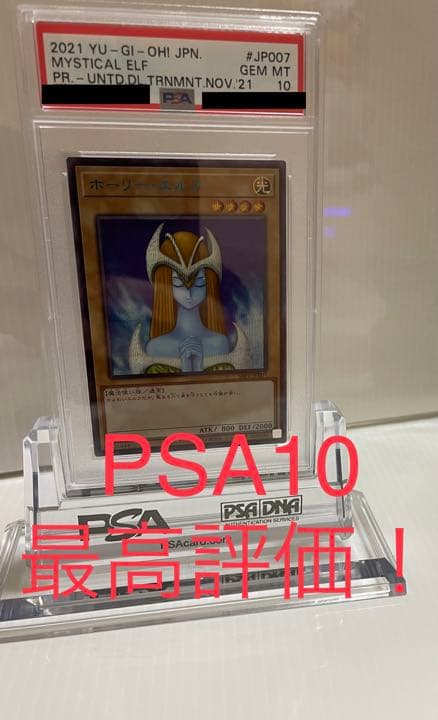 【PSA10】ホーリーエルフ ブルシク ブルーシークレット BGS ARS
