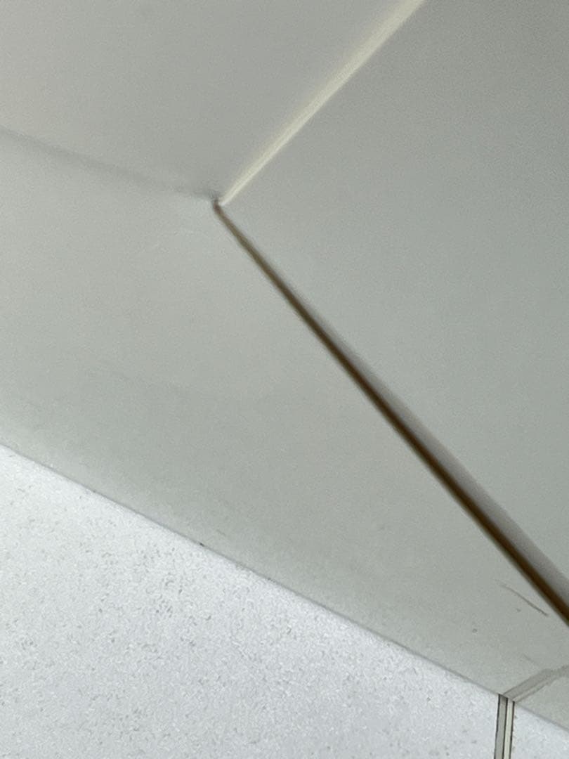 [内未開封] 加藤恵 メイドVer. 冴えない彼女の育てかた fine