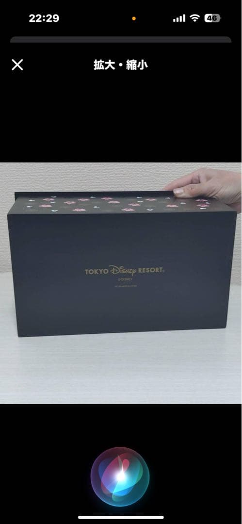 ミッキー・ミニー ひな祭り飾り