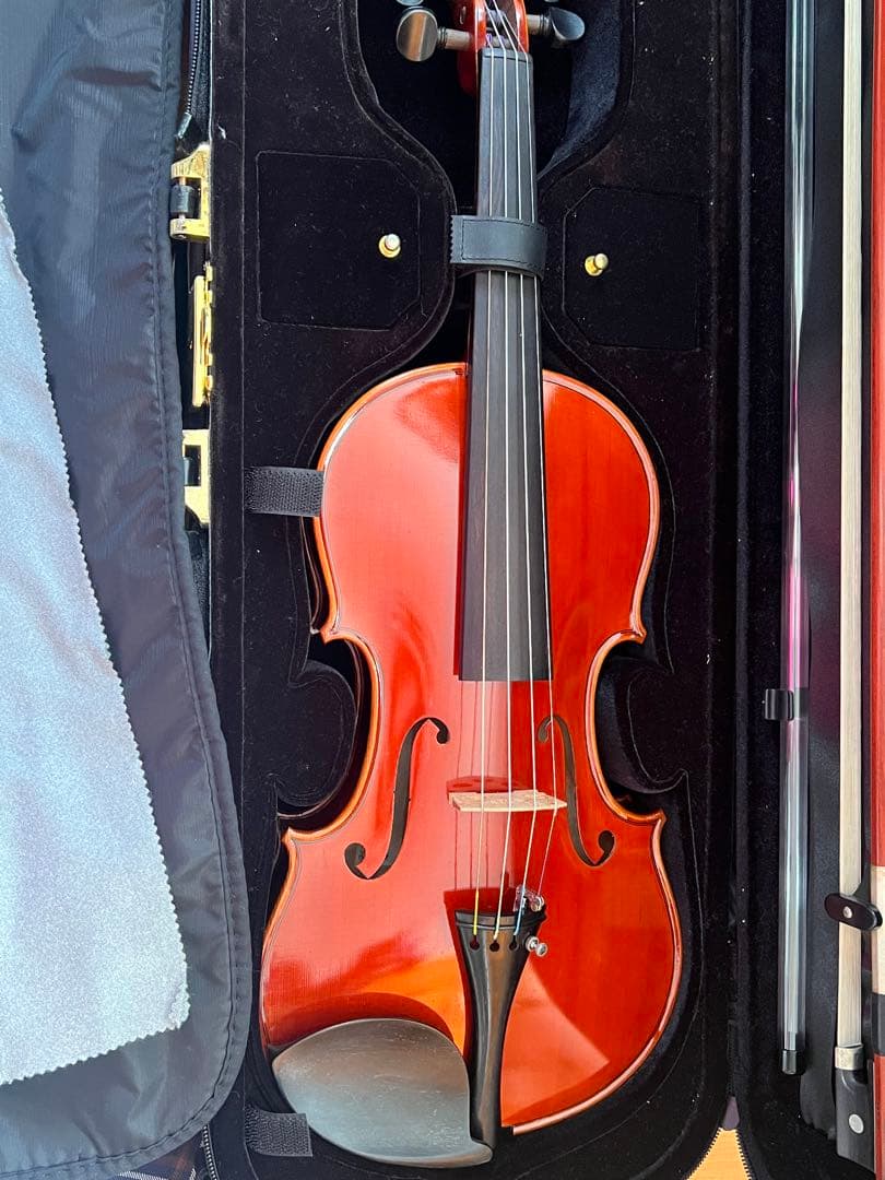 ともしべ　バイオリン　ピグマリウス　デリウス　4/4 付属品セット