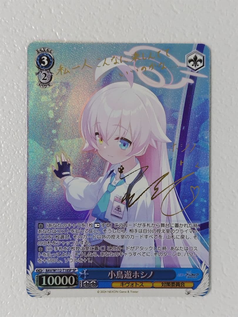 メルたか　ヴァイス　ブルーアーカイブ　　小鳥遊ホシノ　SP