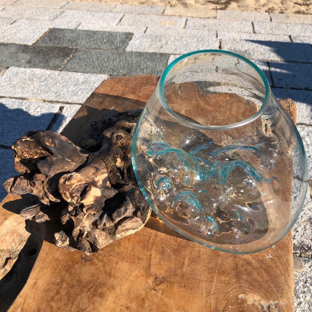 流木ガラス オブジェ特大A 花瓶 金魚鉢 ガーデニング テラリウム 観賞魚 容器