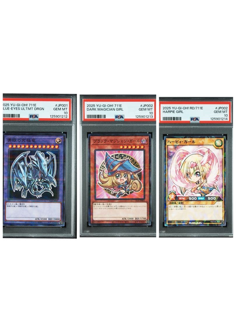 遊戯王OCG デュエルモンスターズ YU-GI-OH! JAPANESE 711E