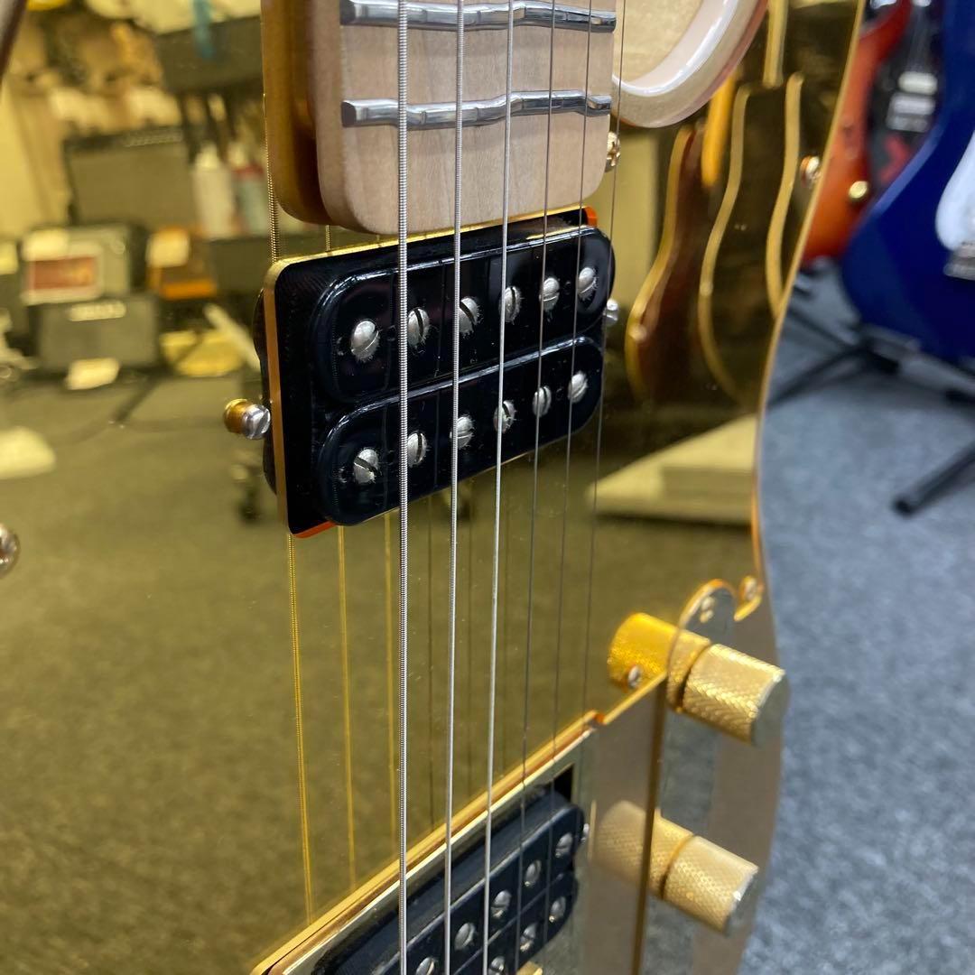 【9801】 True Temperament fretting system