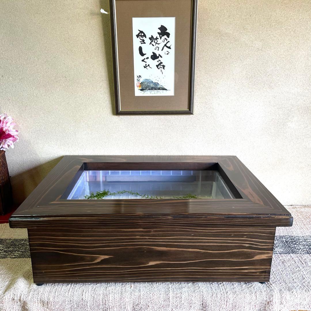 新作 NV13BOX専用 横見木枠 横見ケース メダカ めだか ビオトープ