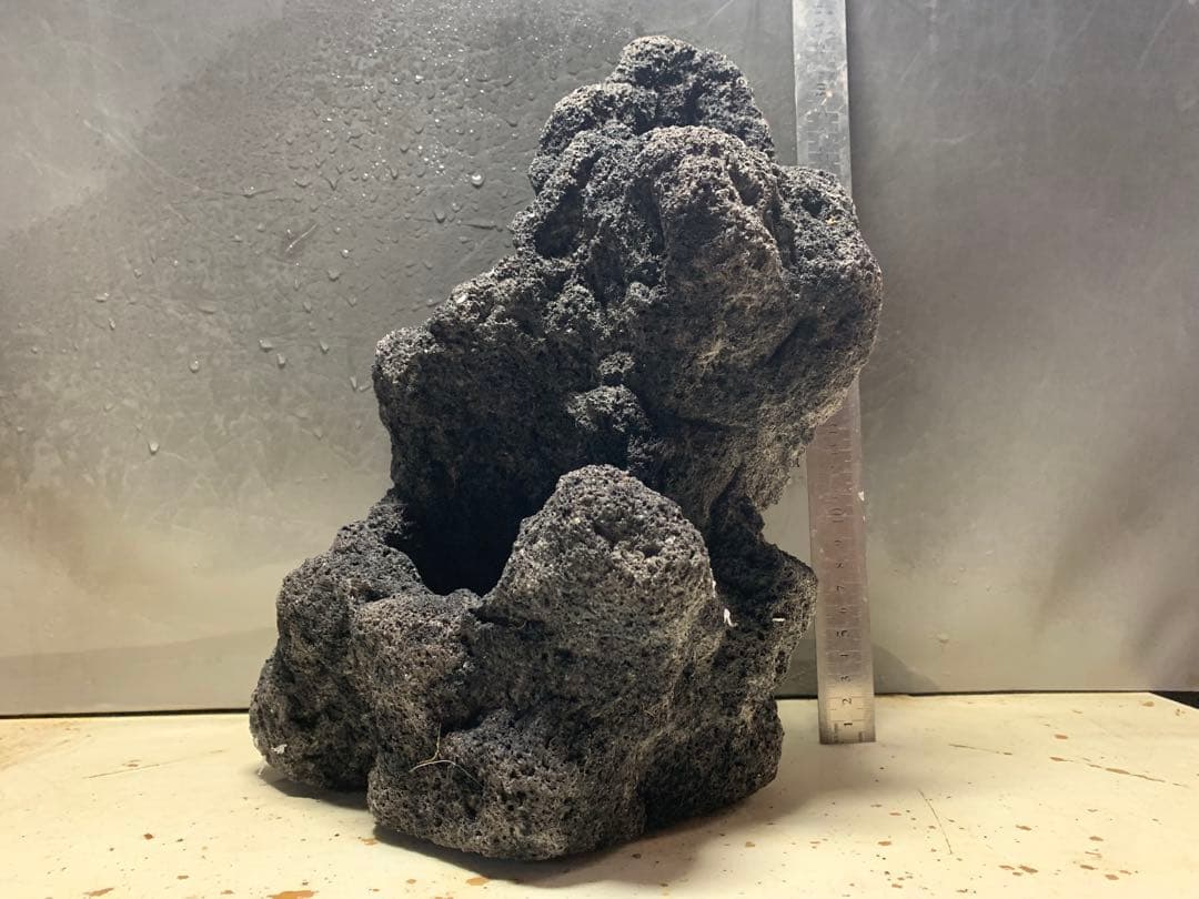 2[絶版]ADA雲山石3.5キロ★穴3個　水槽　レイアウト　アクアリウム　60