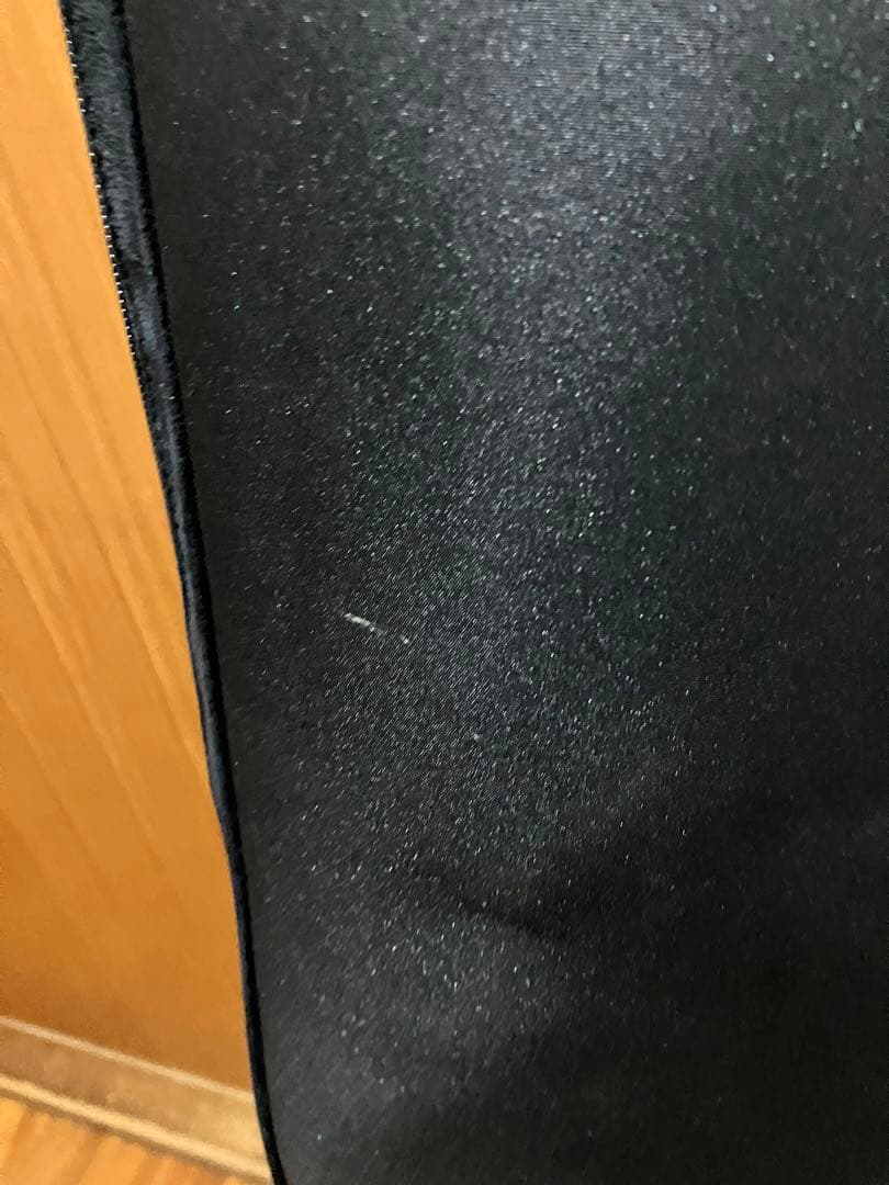 iGiG（アイギグ） ベース用ケース ギグバッグ 絶版品