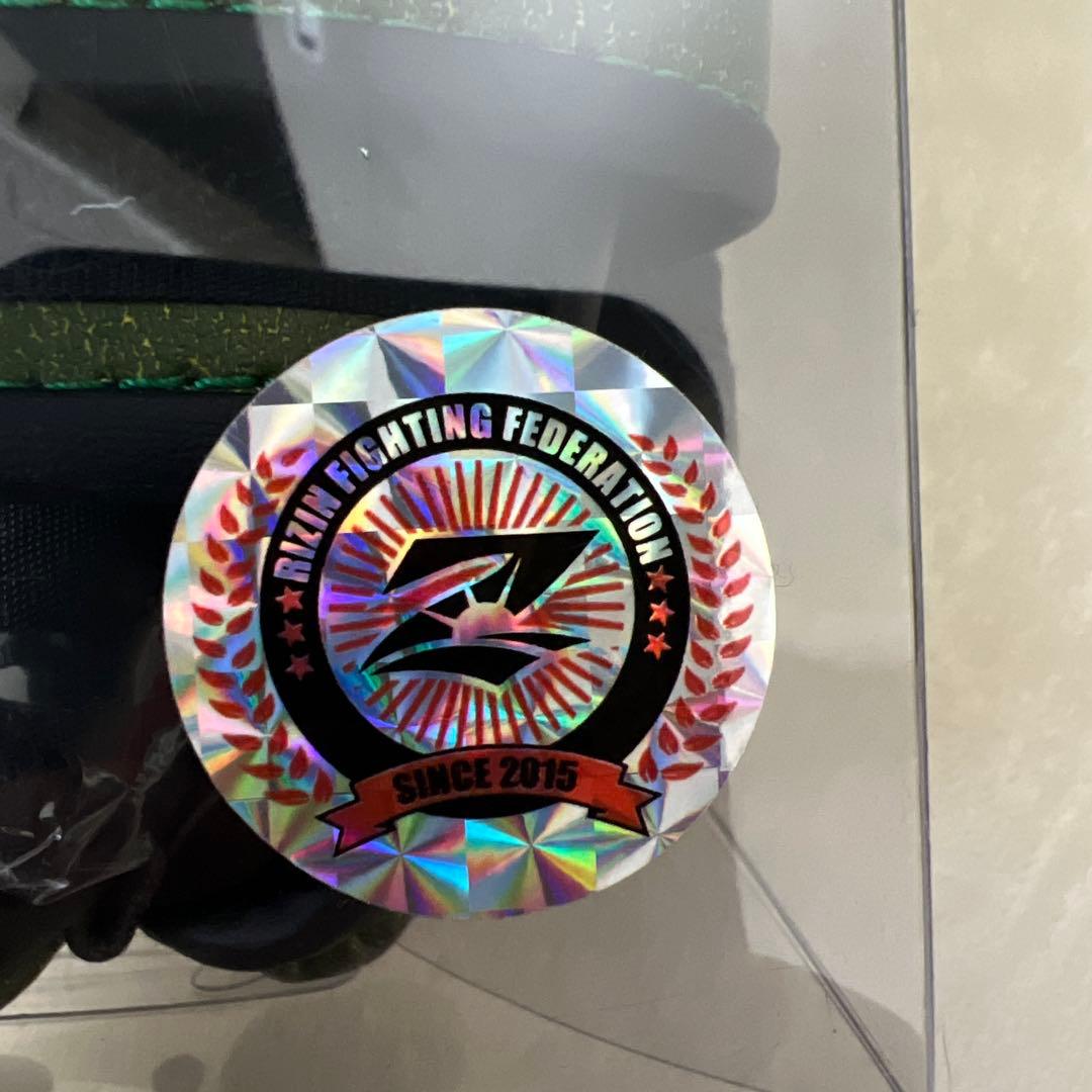 ISAMI 公式MMAグローブ グリーン　Lサイズ ラスト1個