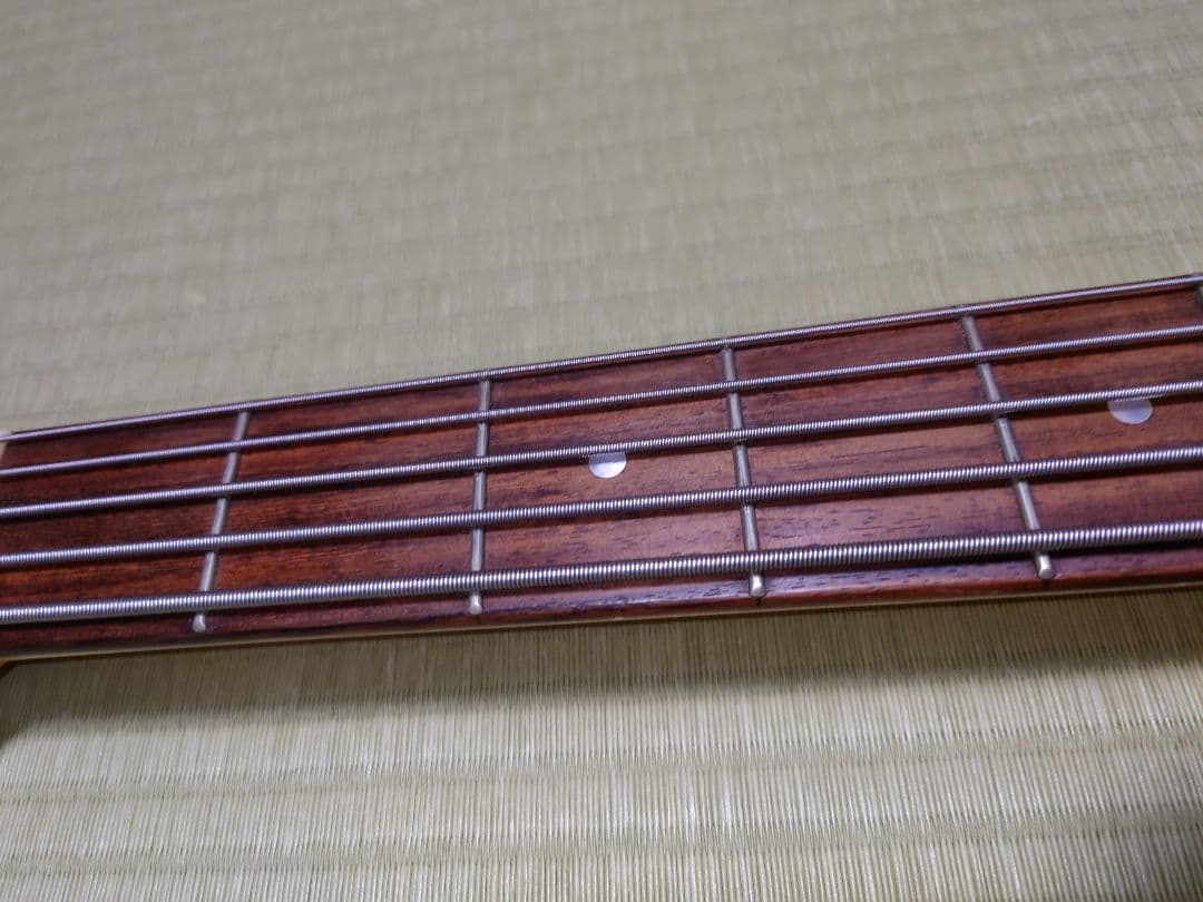 ESP AP-SL5 5弦ベース ESP純正ソフトケース(GIG BAG)付き