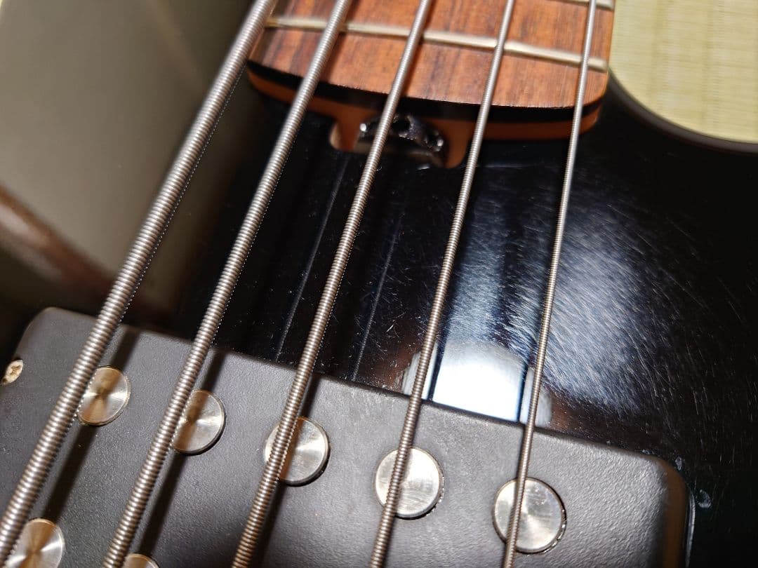 ESP AP-SL5 5弦ベース ESP純正ソフトケース(GIG BAG)付き