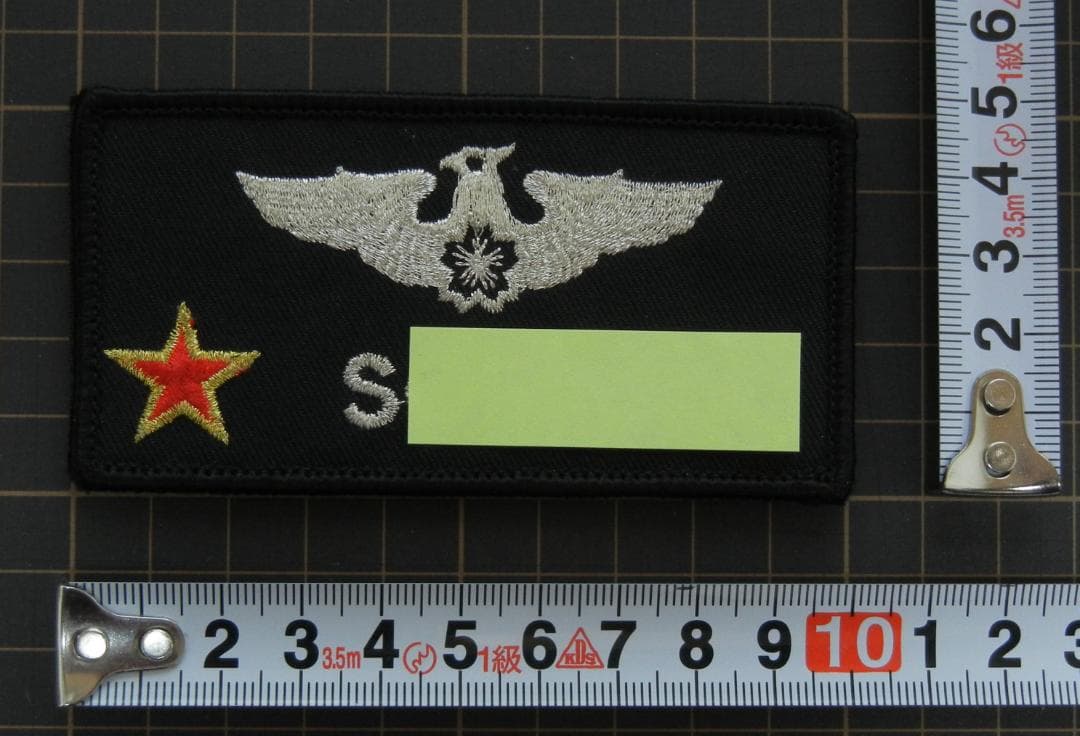 飛行教導隊(アグレッサー)ウイングマーク(新品、未着用) 絶版　AGR