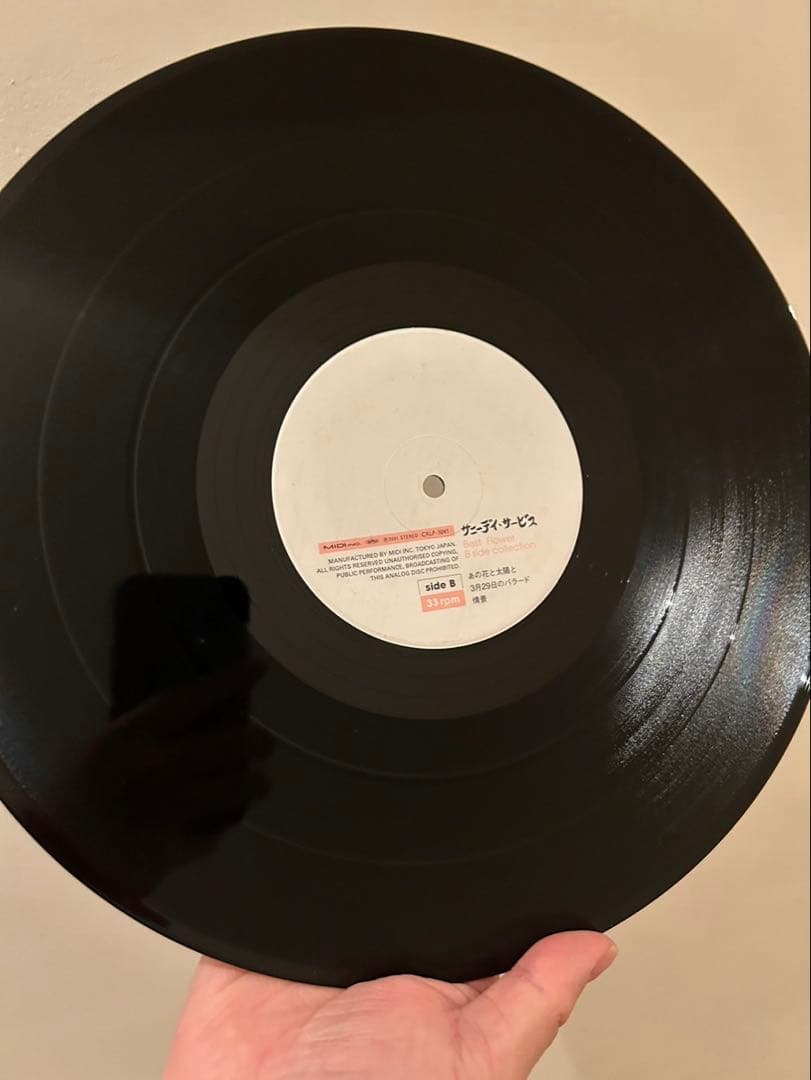 サニーデイ・サービス BEST FLOWER レコード　レア盤　曽我部恵一
