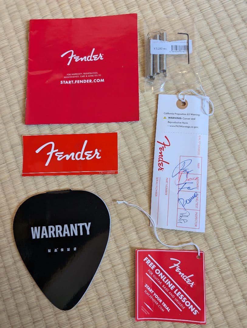 ギター Fender Player Plus Stratocaster HSS