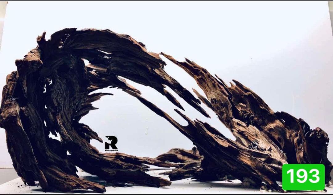 ブランチウッド　．水草用の 流木。流木アクアリウム　. パルダリウム　盆栽流木