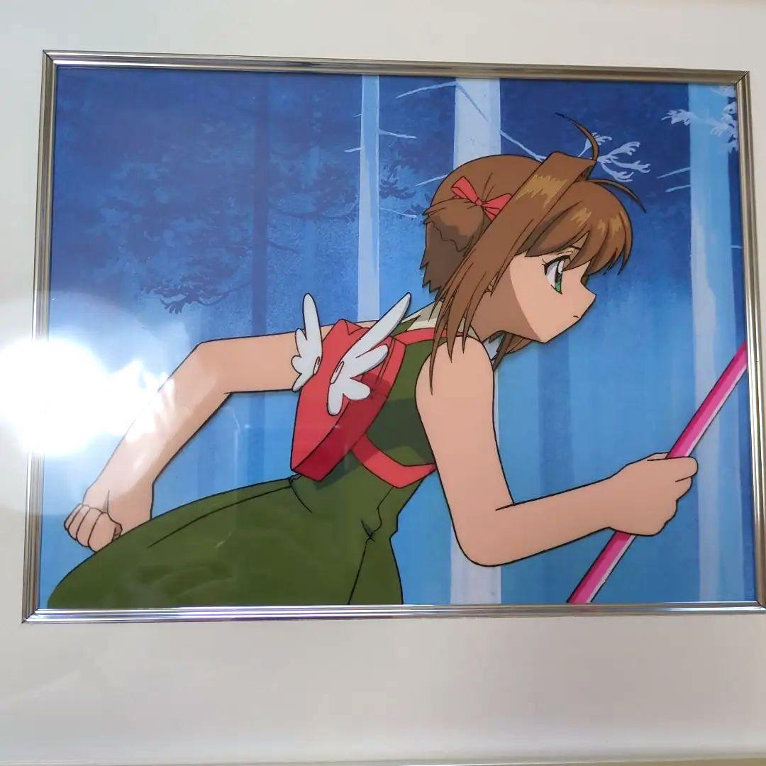 【鑑定書あり】セル画 カードキャプターさくら 動画あり CCさくら