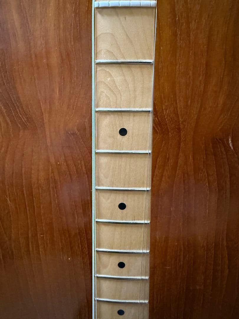 Fender PlayerStratocaster2022年製純正ソフトケース付