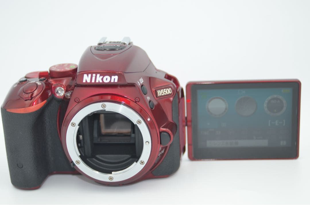 Nikon D5500 レンズセット Wi-Fi機能付き