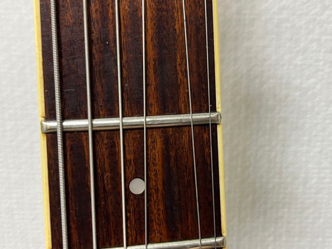 Fernandes フェルナンデス APG-55S サスティナー エレキギター