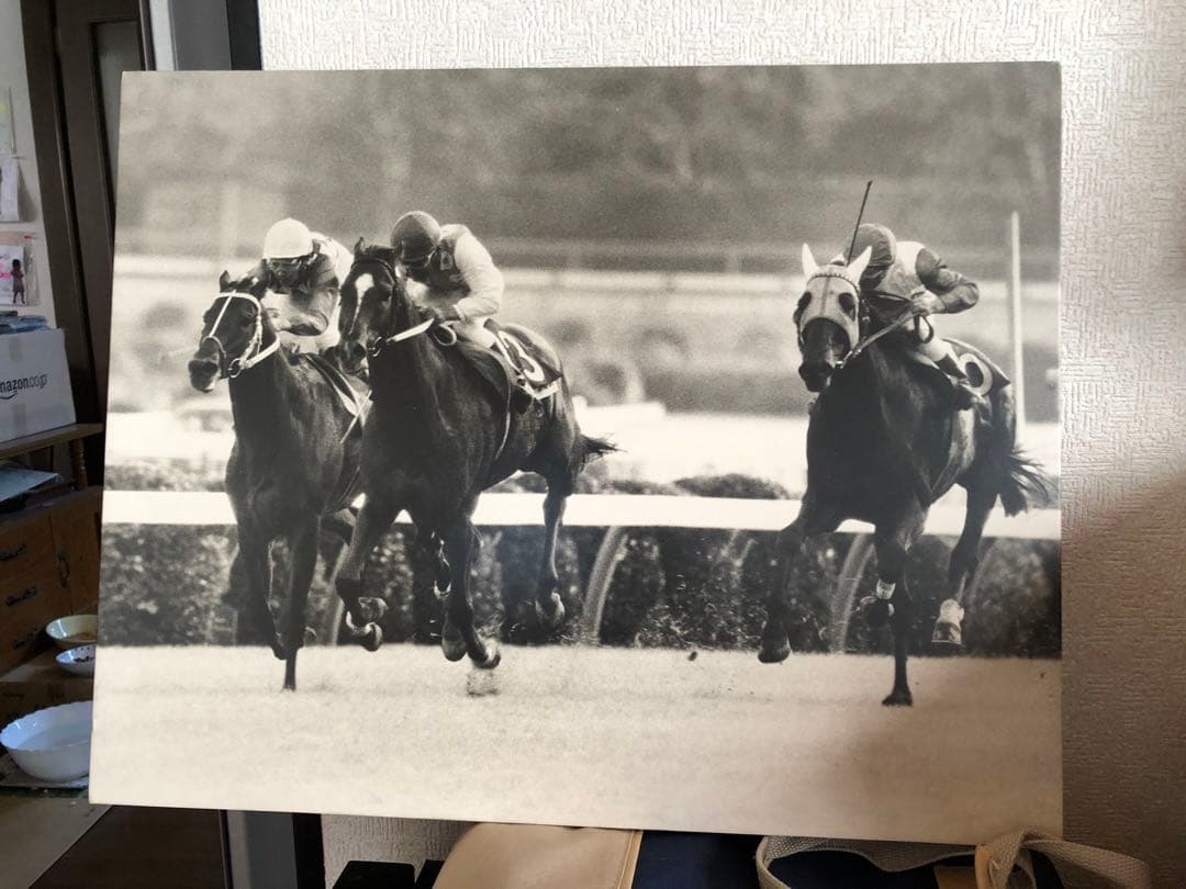 1977年有馬記念写真パネル