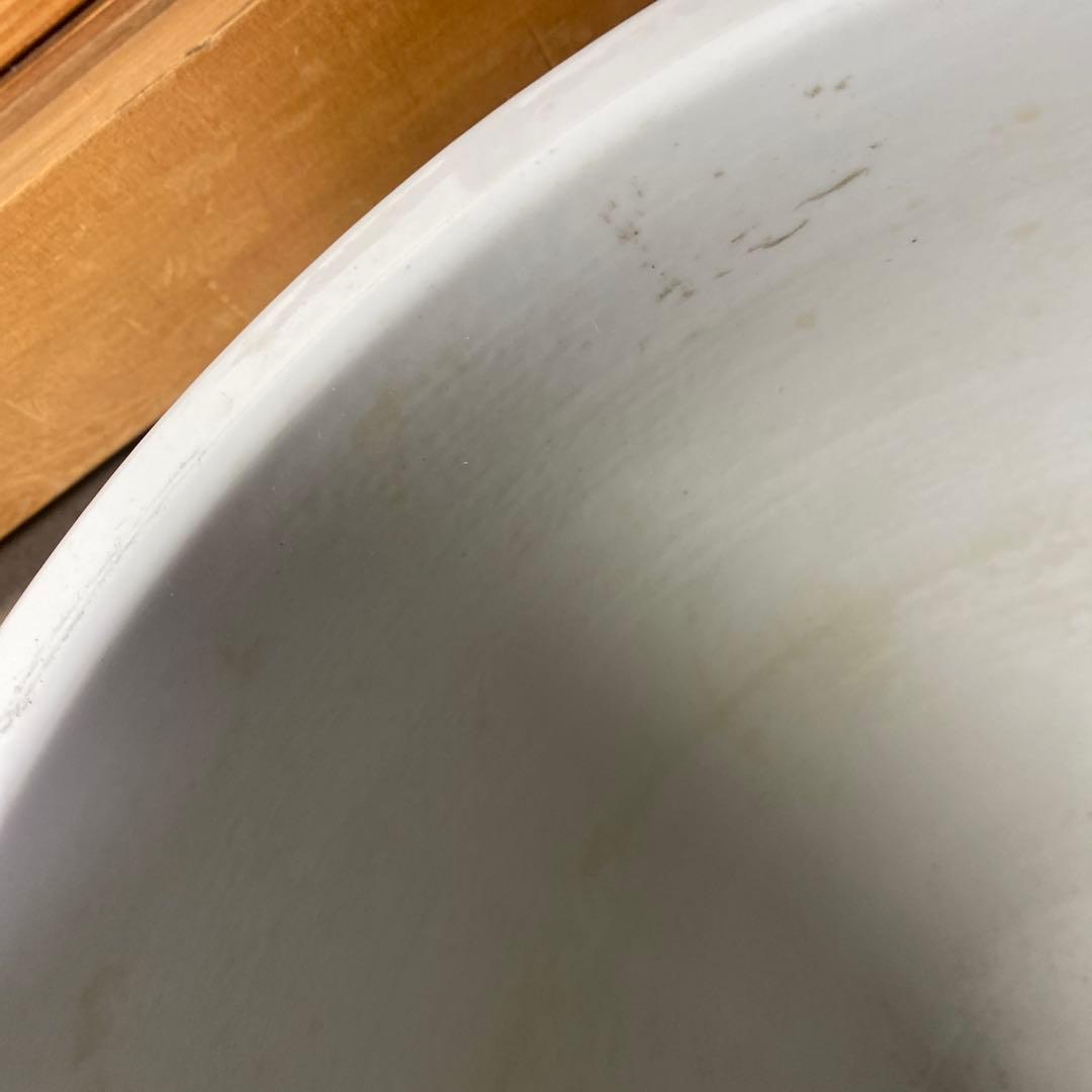 中国古玩　春白菜図水蓮鉢