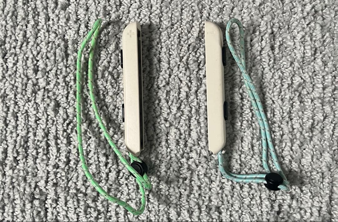 だ*く様 あつまれどうぶつの森　switch本体　ケース付き(付属品全てあり)