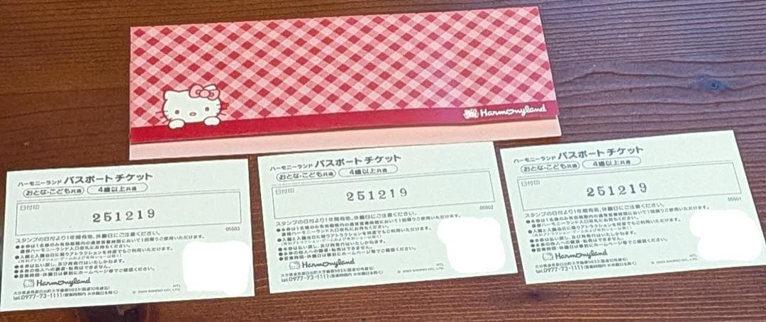 ハーモニーランドパスポートチケット3枚セット