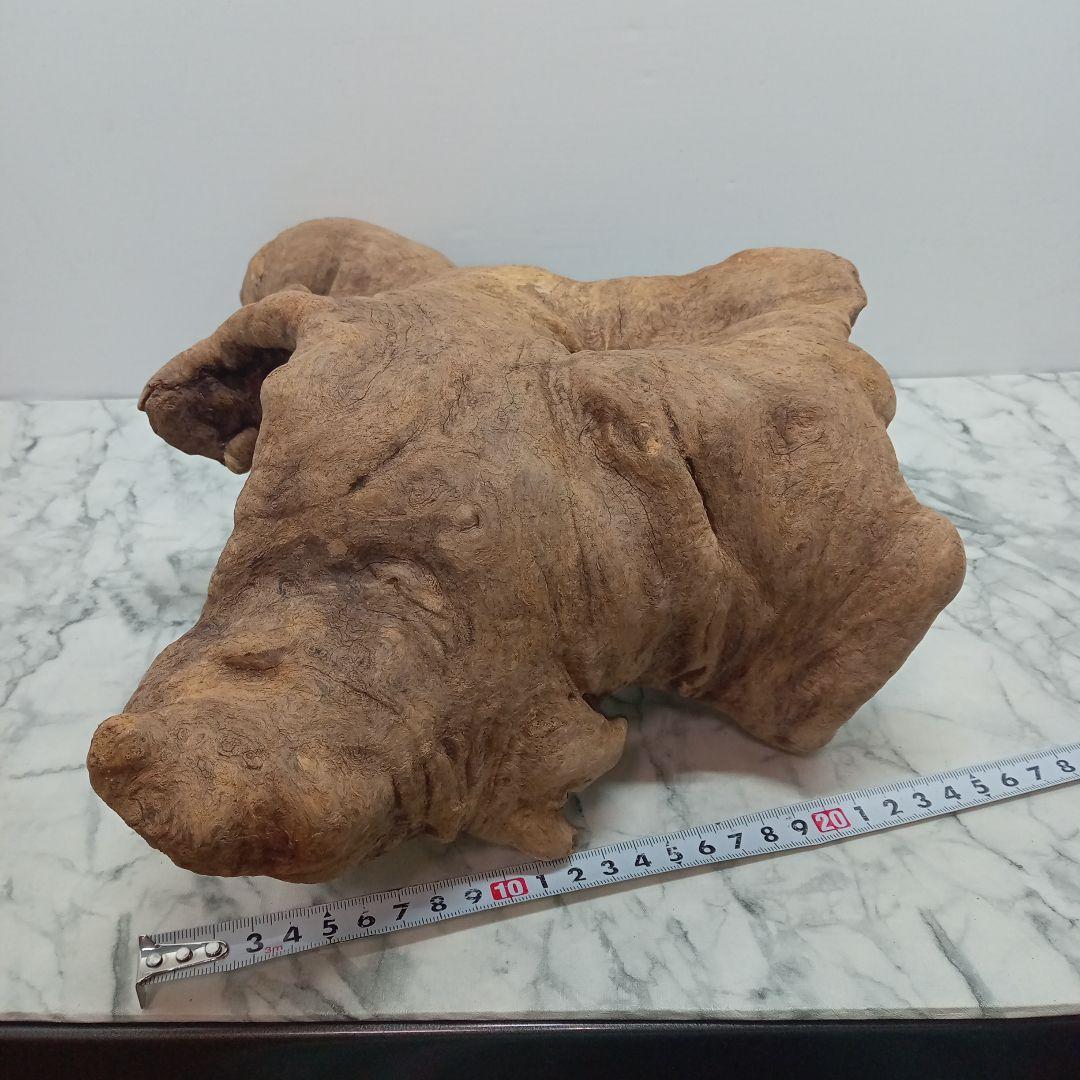 アク抜き済み流木【328】最終価格