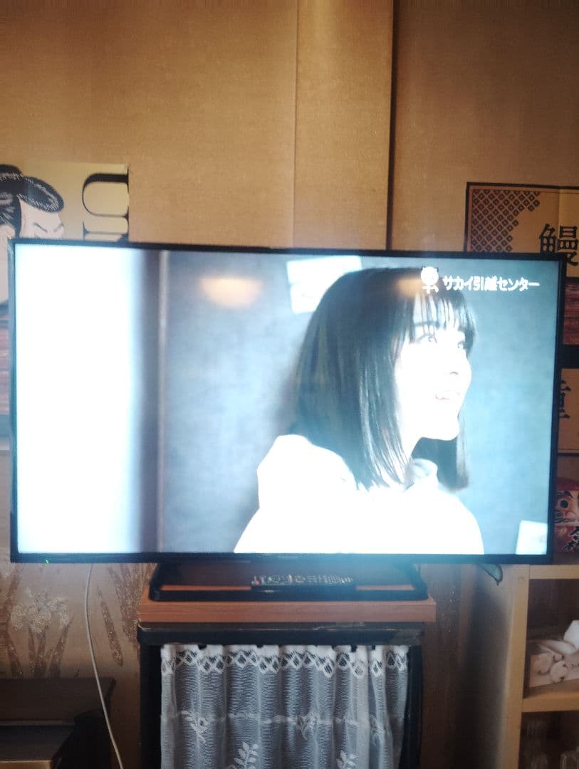Panasonic TH-49DX600 液晶テレビ 49インチ