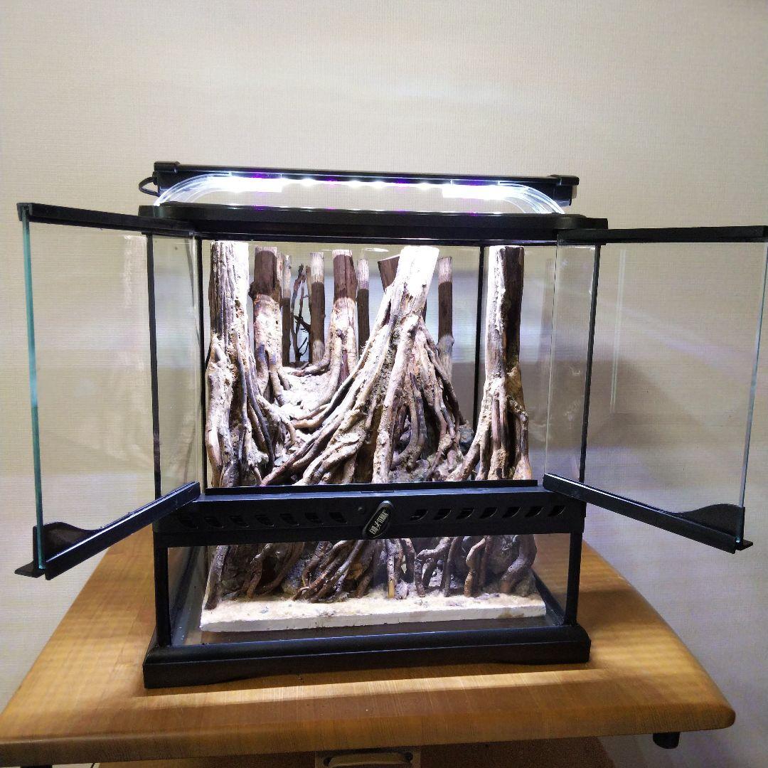 【受注生産】グラステラリウム3030　イモリウム　苔テラリウム　アクアテラリウム