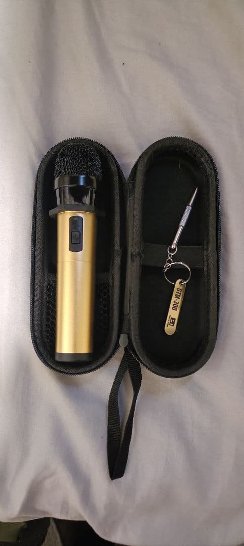 PENTATONIC GTM-300 シャンパンゴールド マイクとケースのセット