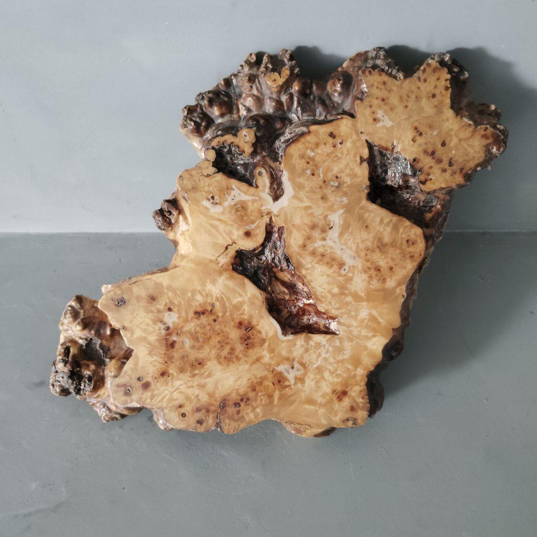 天然木一枚板 瘤台 花台 盆栽台 置き台 飾り台 こぶ 侘び寂び