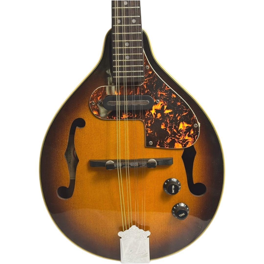 弦楽器 ARIA FlatMandolin AM-200E