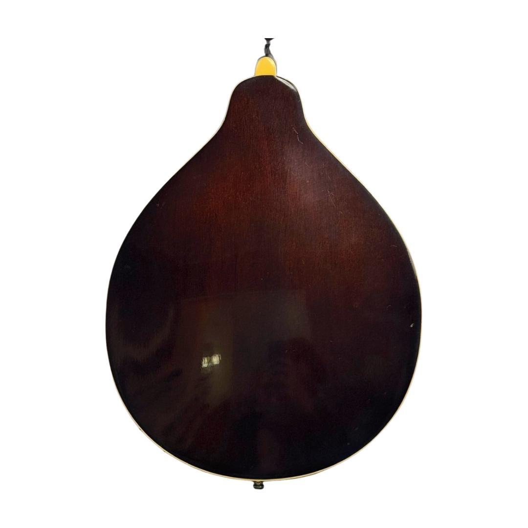 弦楽器 ARIA FlatMandolin AM-200E