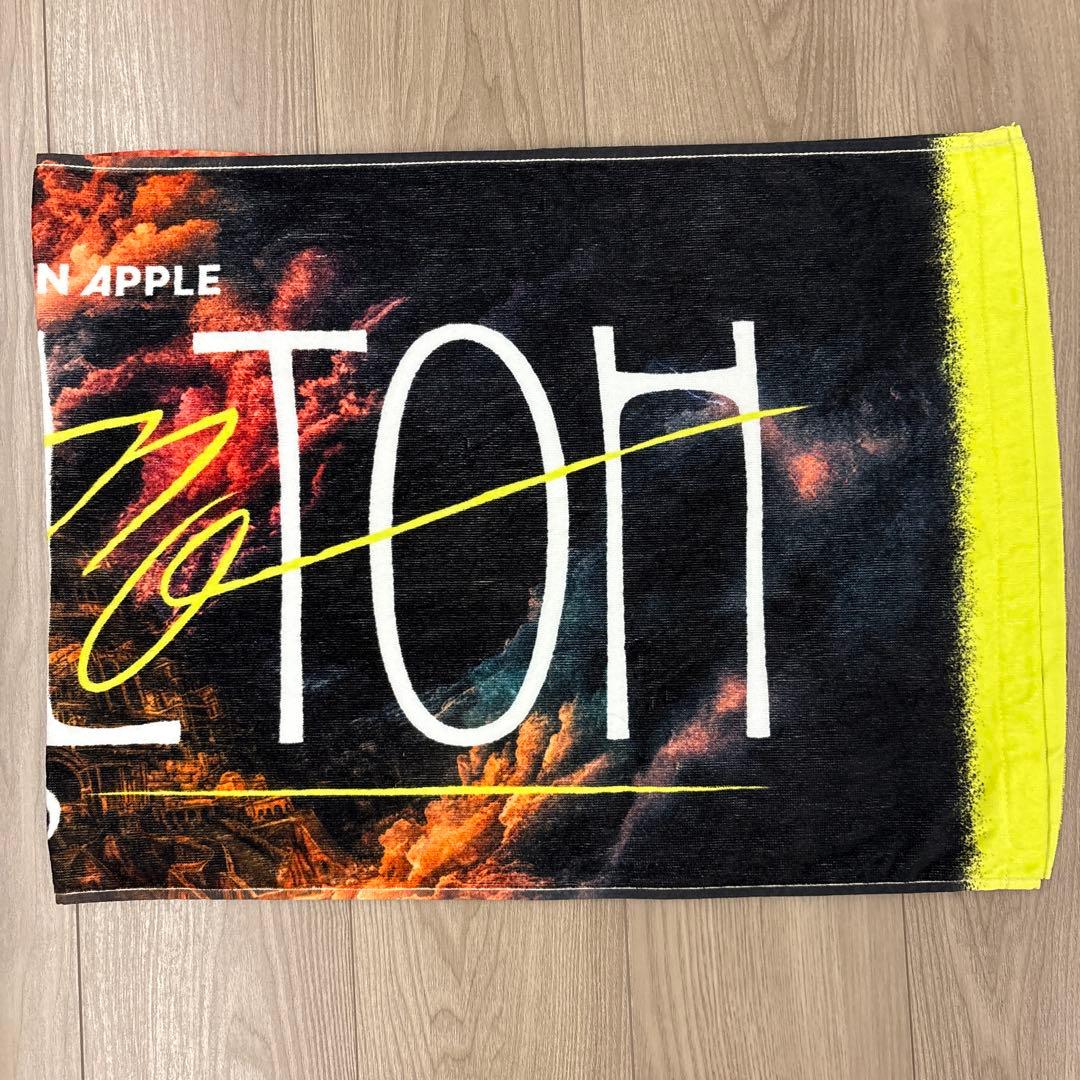 ミセス　バベルの塔　ペンライト　タオル