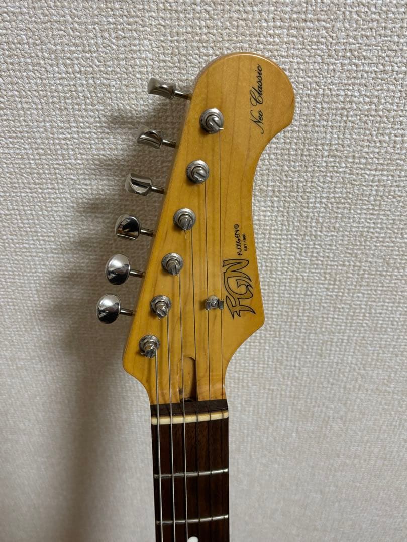 フジゲン　fujigen（FGN） SNST101【限定生産品】