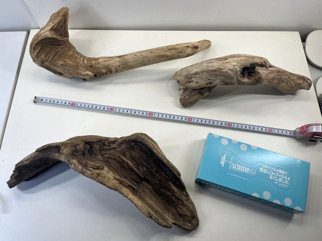 R70アク抜き済み流木 爬虫類シェルター レイアウト用 インテリア エアプランツ