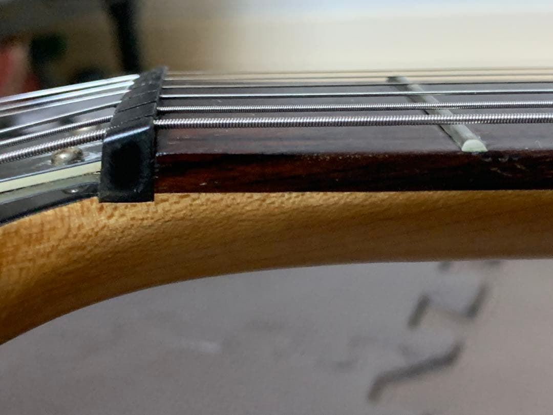 Chatting Bird Mockingbird モッキンバード hide