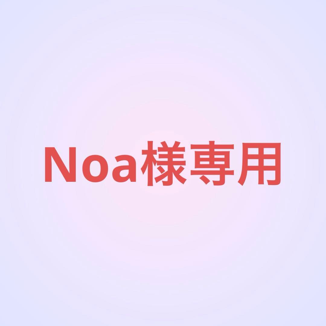 ぬいぐるみ Noa