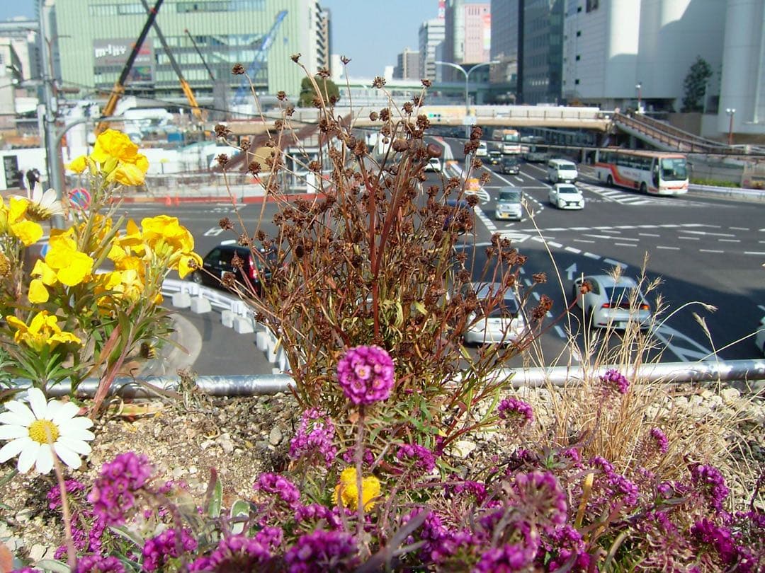 【作例あり】FUJIFILM finepix F710 コンデジ デジタルカメラ