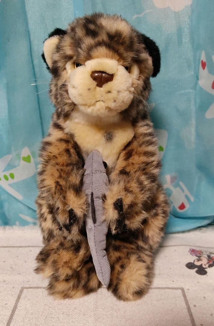 鳥羽水族館　ぬいぐるみ　スナドリネコ　ぬいぐるみ　漁り猫