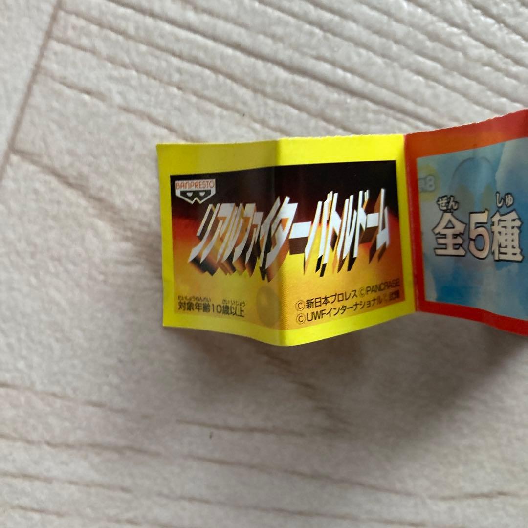 リアルファイターバトルドーム 船木誠勝選手